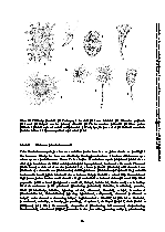 Strana 26
