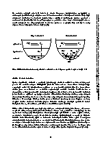Strana 49