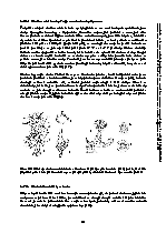 Strana 118