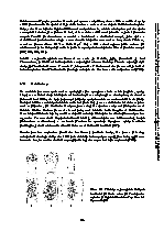Strana 136