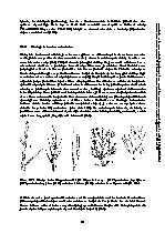 Strana 193