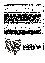 Strana 117