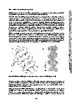 Strana 144